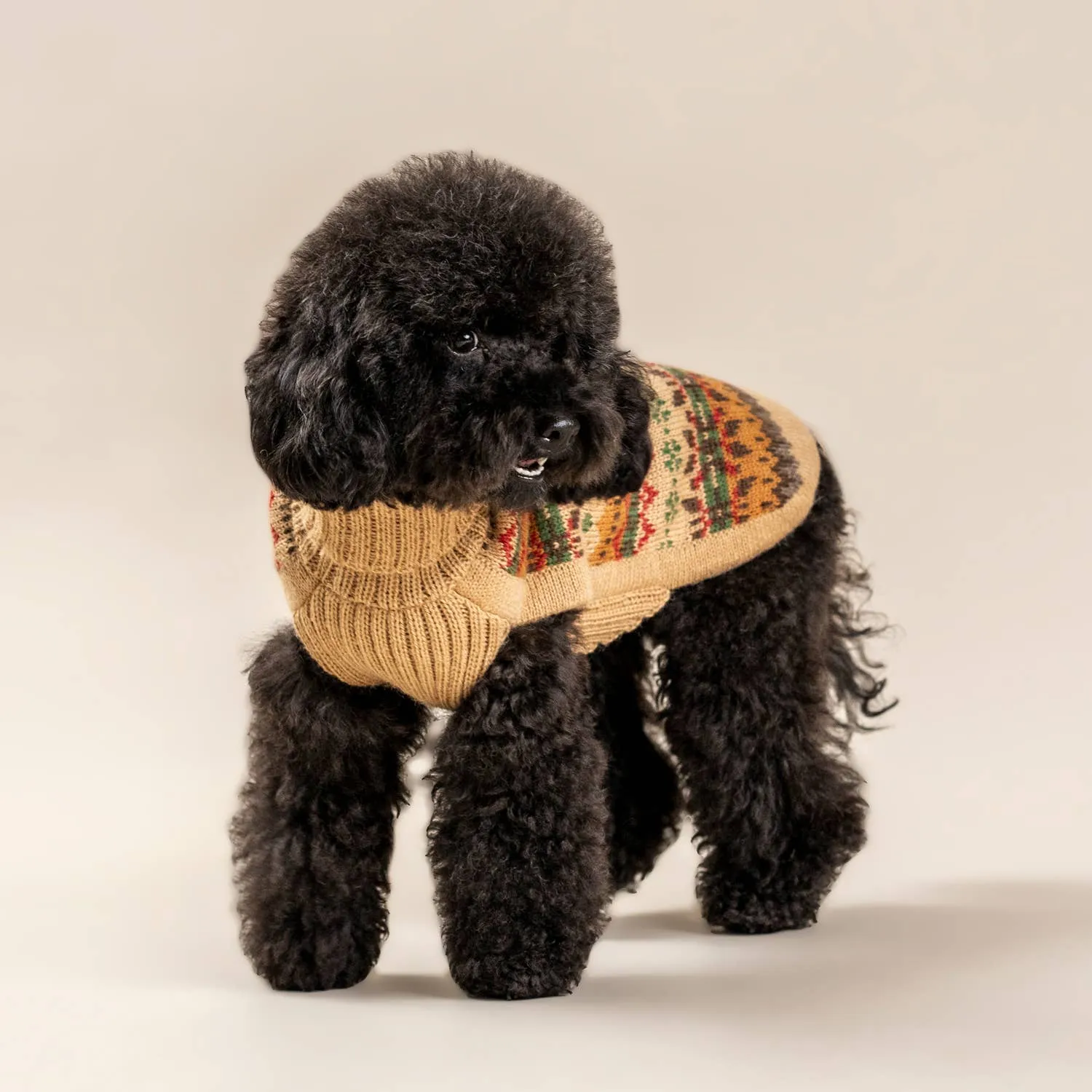 Alqo Wasi | Fair Isle Finn - Peruvian Alpaca Dog Jumper