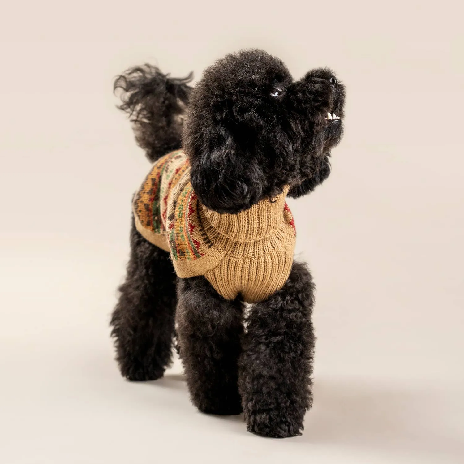 Alqo Wasi | Fair Isle Finn - Peruvian Alpaca Dog Jumper