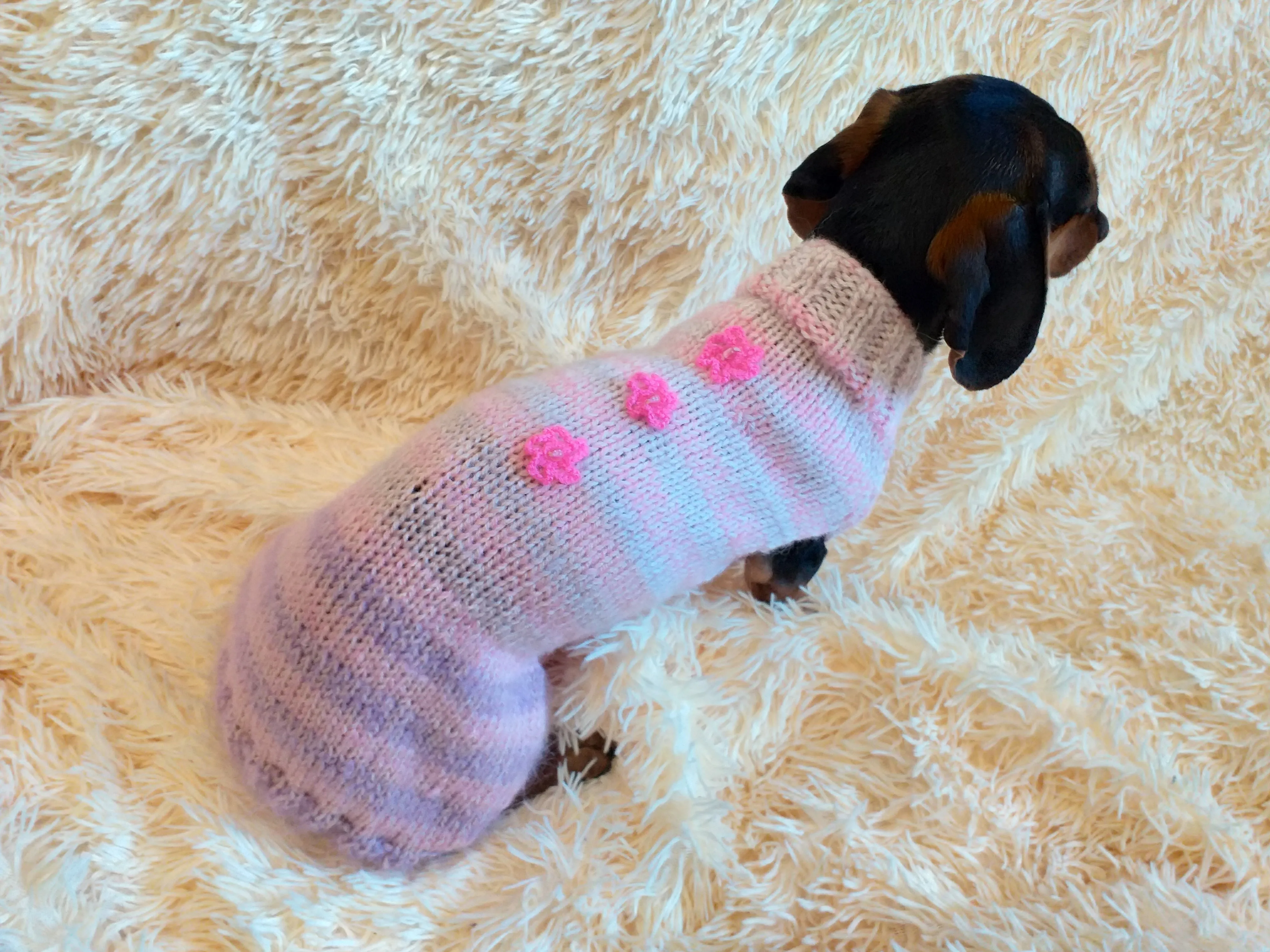 Angora dog sweater with flowers