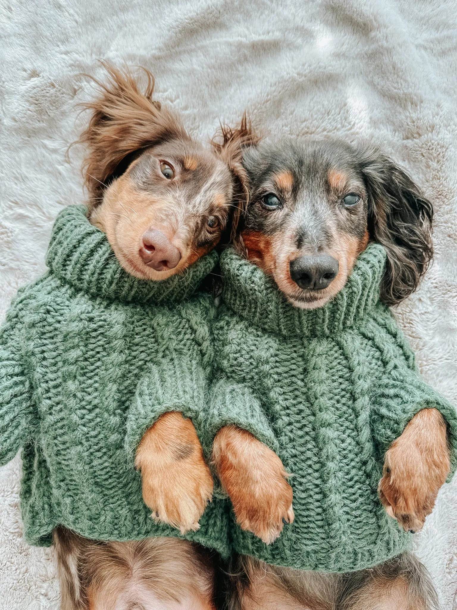 Dog Cable Knit Sweater - Dark Green