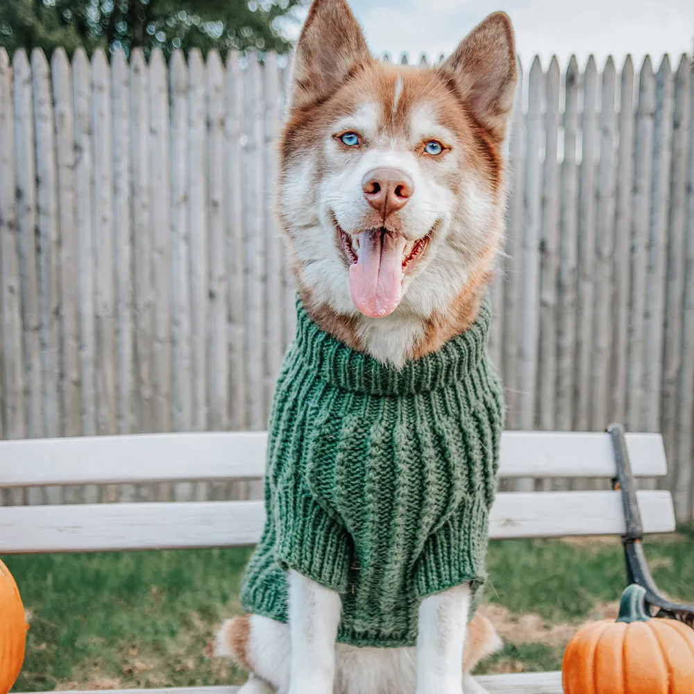 Dog Cable Knit Sweater - Dark Green