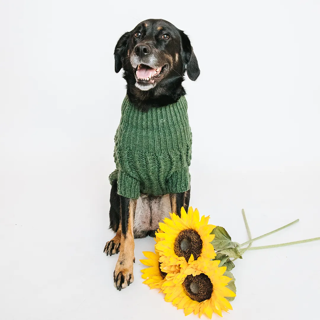 Dog Cable Knit Sweater - Dark Green