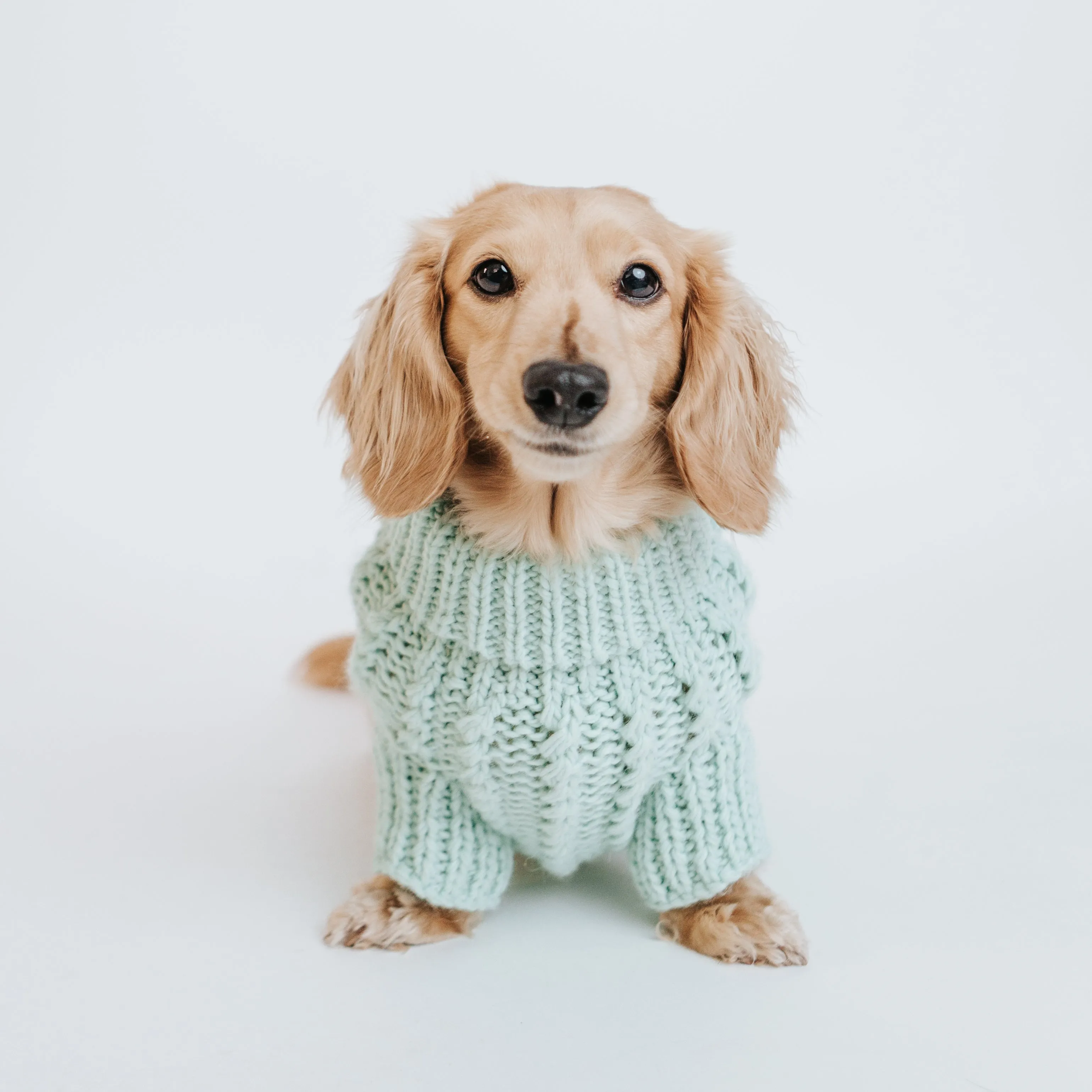 Dog Cable Knit Sweater - Mint