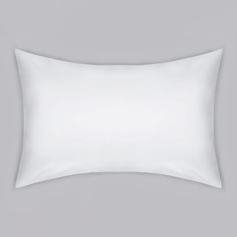 Pillow with Pillowcase