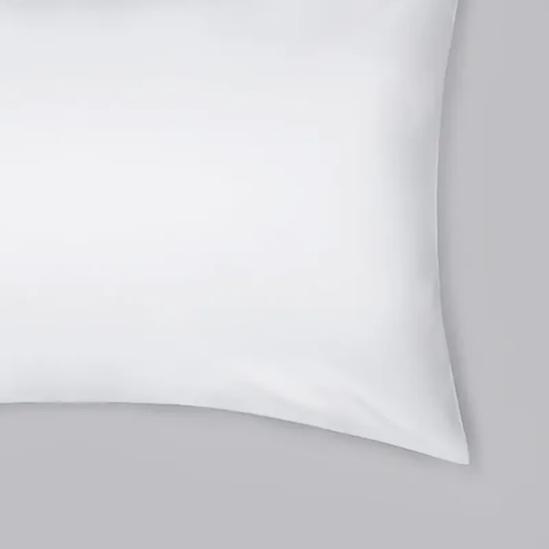 Pillow with Pillowcase