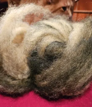 Roving Blend RAYG 13 - 70% Romney 30% Angora Marigold Green Swirl -1.9 ounces