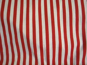 Striped Polycotton Print